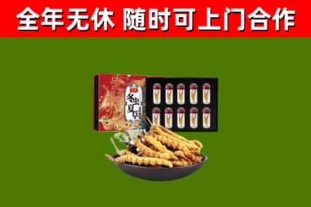 宝清烟酒回收冬虫夏草礼盒.jpg